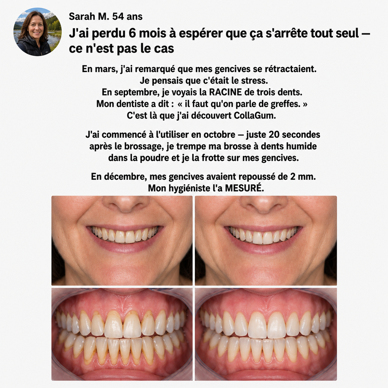 COLLAGUM